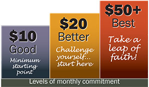 Levels of monthly commitment