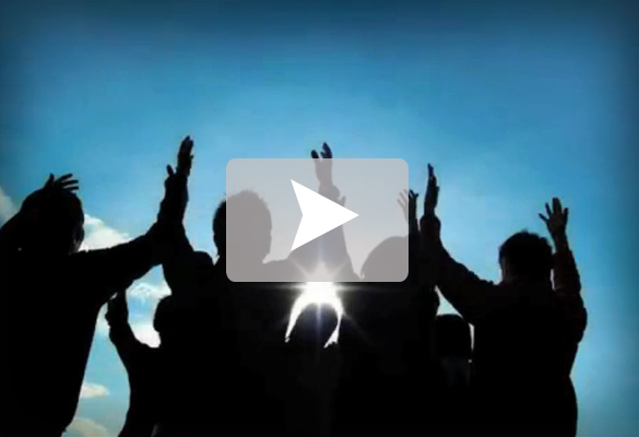 Watch the video